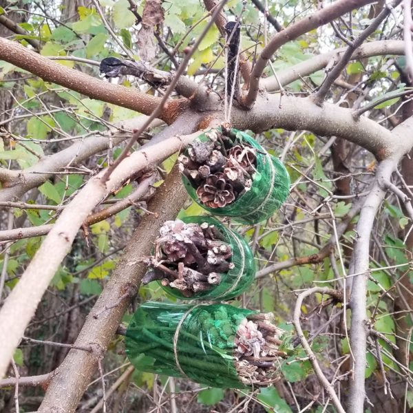 Easy Insect Hotel Children's Craft