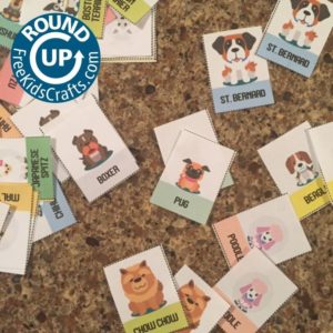 Pet Helper Patch Roundup