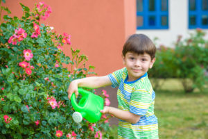 Preschoolers help with gardening.