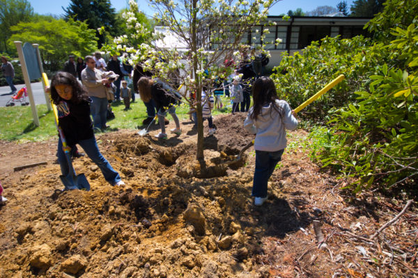 Youth Squad® Tree Planting