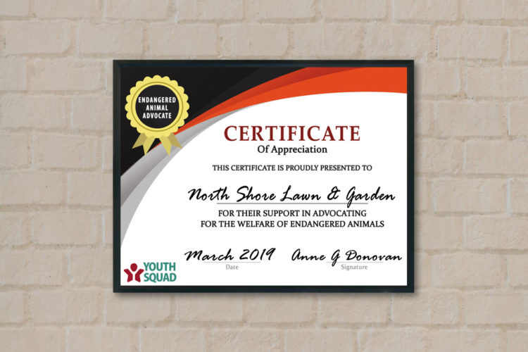 Free Thank You Certificate Download