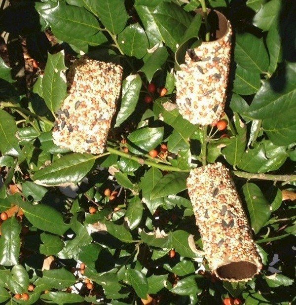 Cardboard Tube Bird Feeders