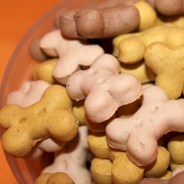 This image has an empty alt attribute; its file name is dog-treats-600x600.jpg