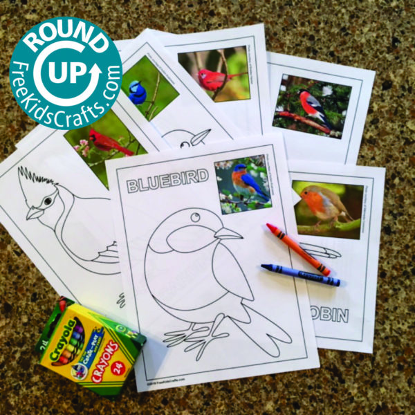 Bird Craft Roundup