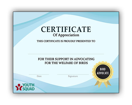 Volunteer Thank You Certificate