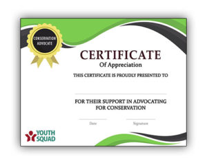 Thank You Certificates for Volunteers and Supporters - Youth Squad