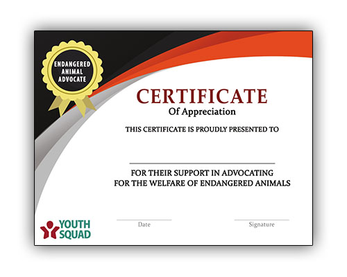 Youth Squad® Volunteer Thank You Certificate