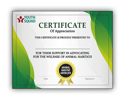 Youth Squad® Volunteer Thank You Certificate