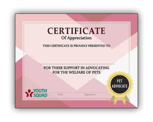 Thank You Certificates for Volunteers and Supporters - Youth Squad