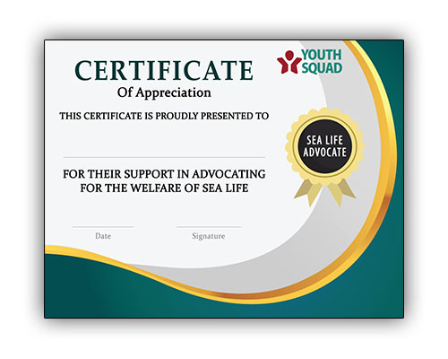 Youth Squad® Volunteer Thank You Certificate